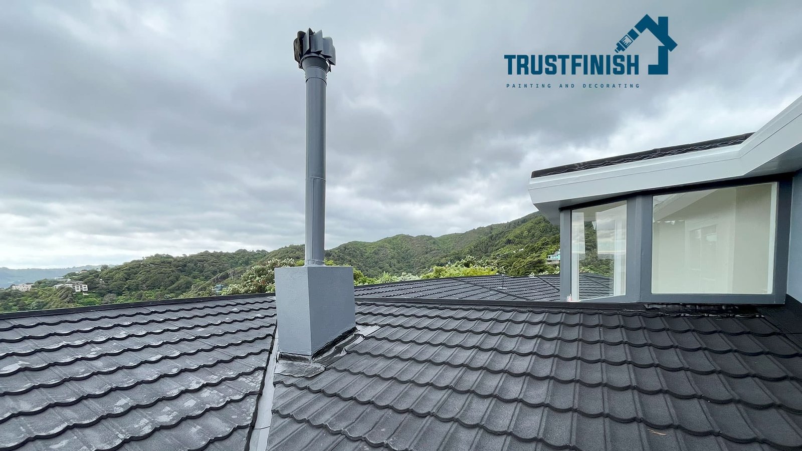 Professional House Painting in Wellington – Trust Finish