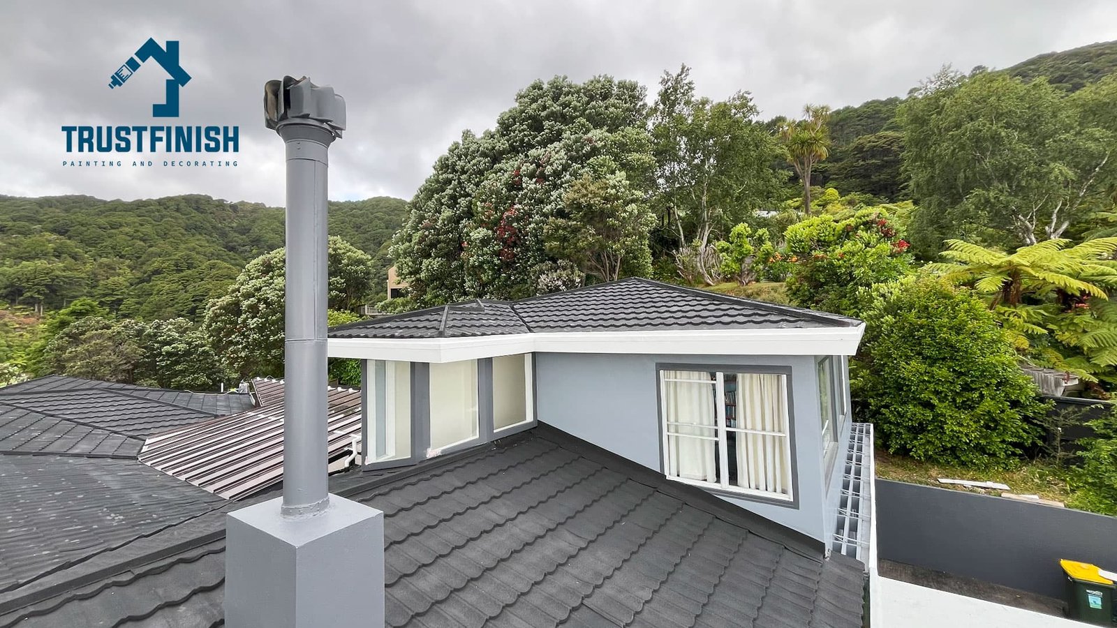 Professional House Painting in Wellington – Trust Finish